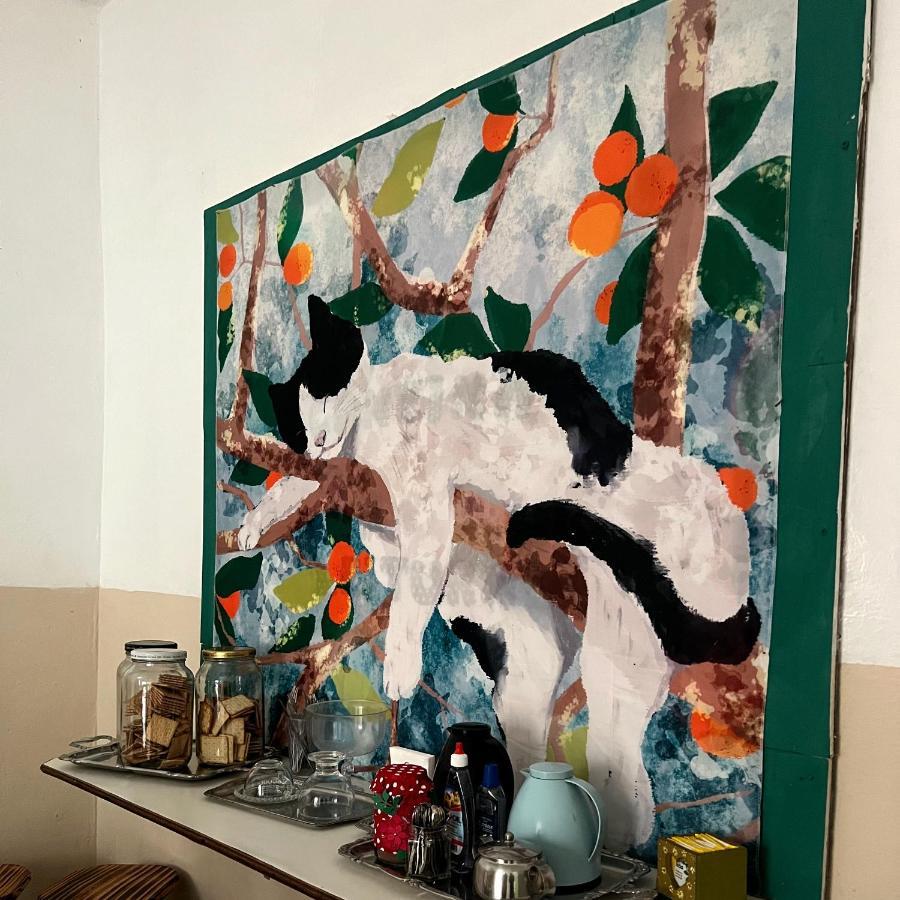 Casa Jardim Hostel Bh - Santa Efigenia - Paraiso Belo Horizonte Ngoại thất bức ảnh
